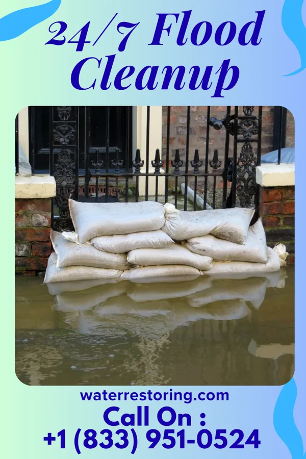 24/7 Flood Cleanup in Golinda, TX