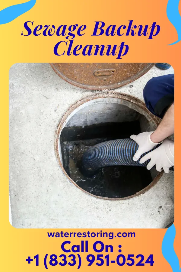 Sewage Backup Cleanup in Golinda, TX