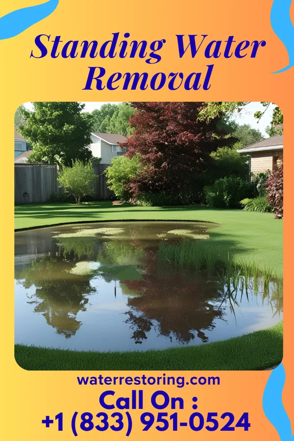 Standing Water Removal in Golinda, TX